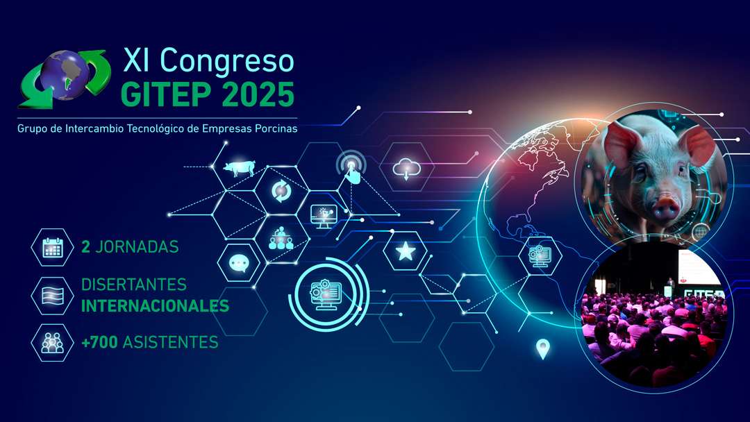 XI Congreso Gitep 2025